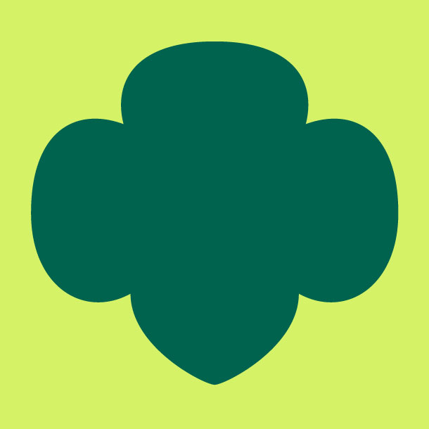 Virtual Youth Mental Health First Aid Training