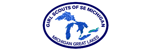 Great Lakes Patch