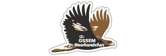 Junior Hawkwatcher Patch