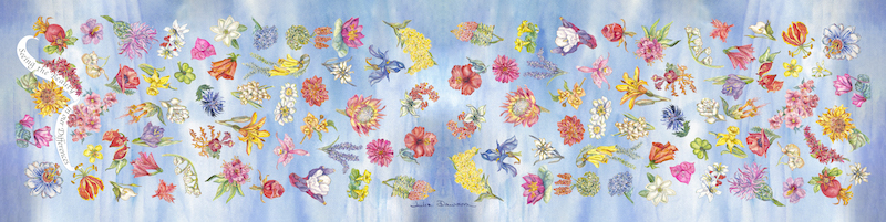 Julie Dawson's Flower Scarf